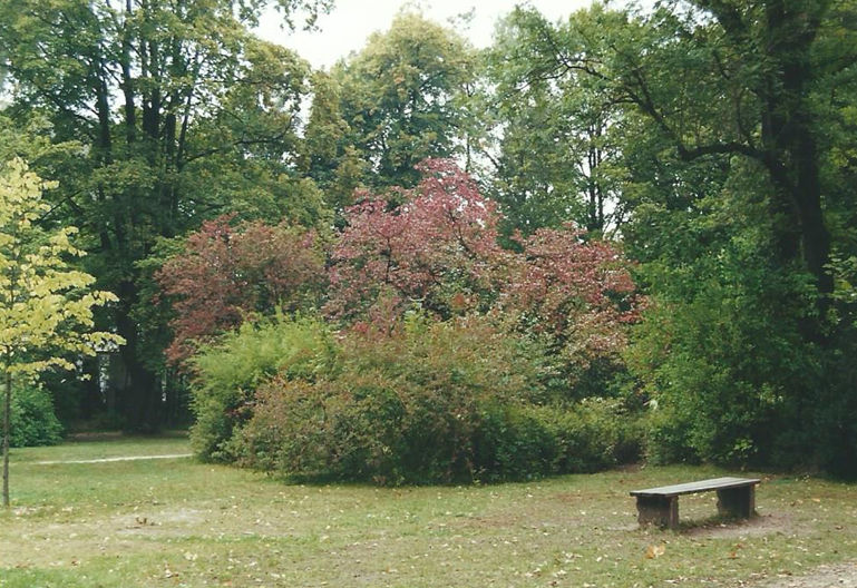 schul park